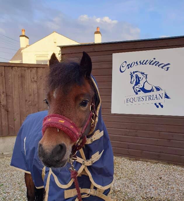 Crosswinds Equestrian